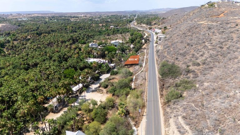 Lote Sahuaro Todos Santos – photo 2