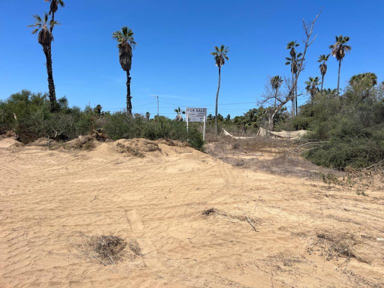 Lote Sergio – photo 2
