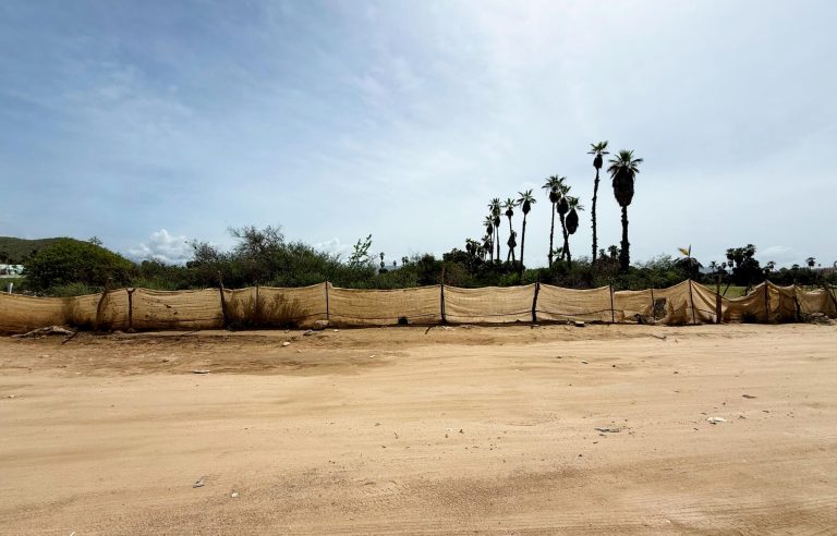Lote Sergio – photo 4