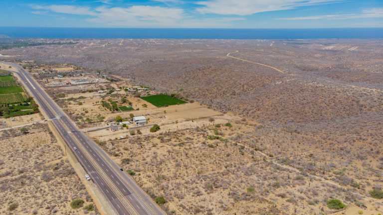 LOTE TODOS SANTOS 12ML – photo 3