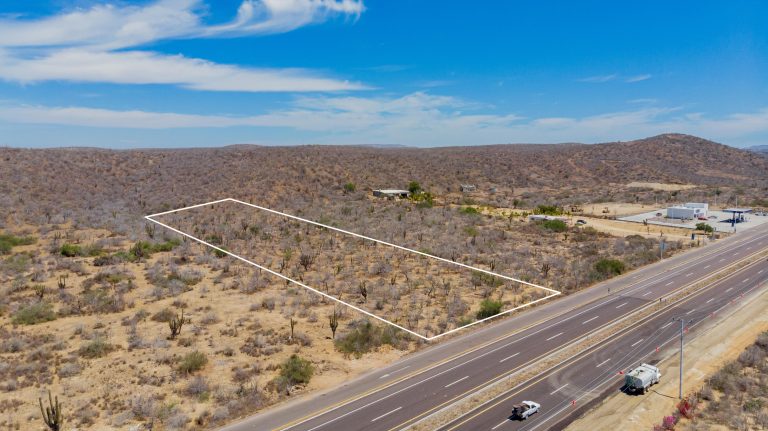 LOTE TODOS SANTOS 12ML – photo 2