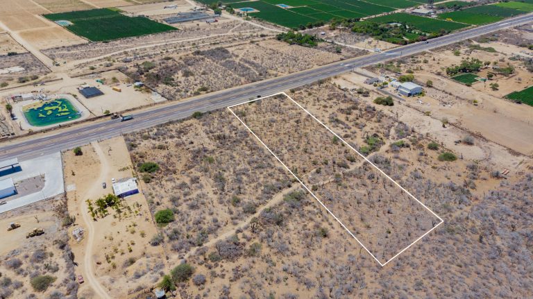 LOTE TODOS SANTOS 12ML – photo 4