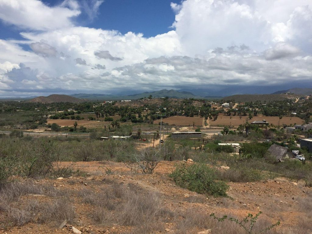 Mango Land – photo 1