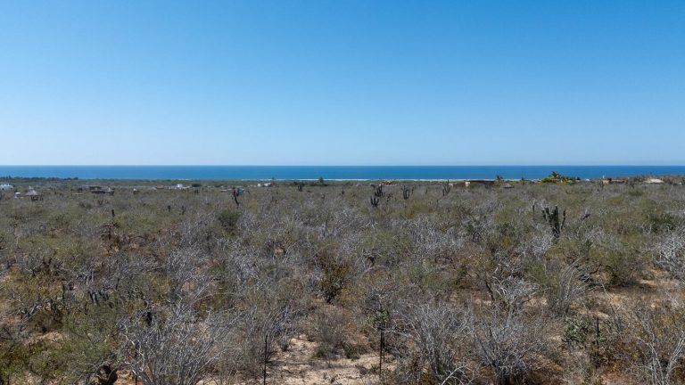 Maroma Todos Santos – photo 4
