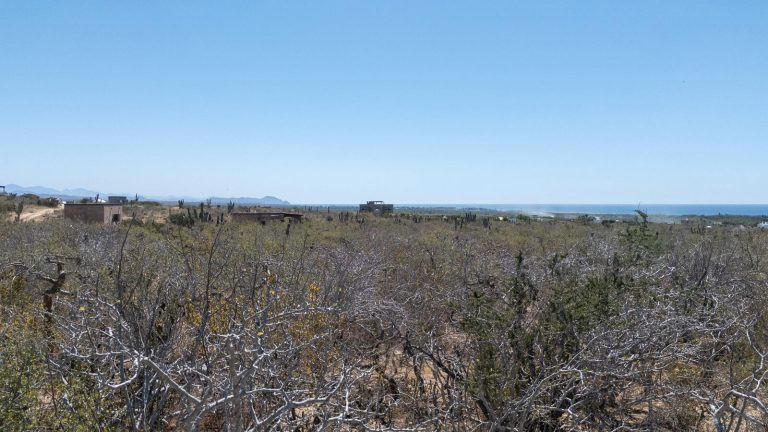 Maroma Todos Santos – photo 5