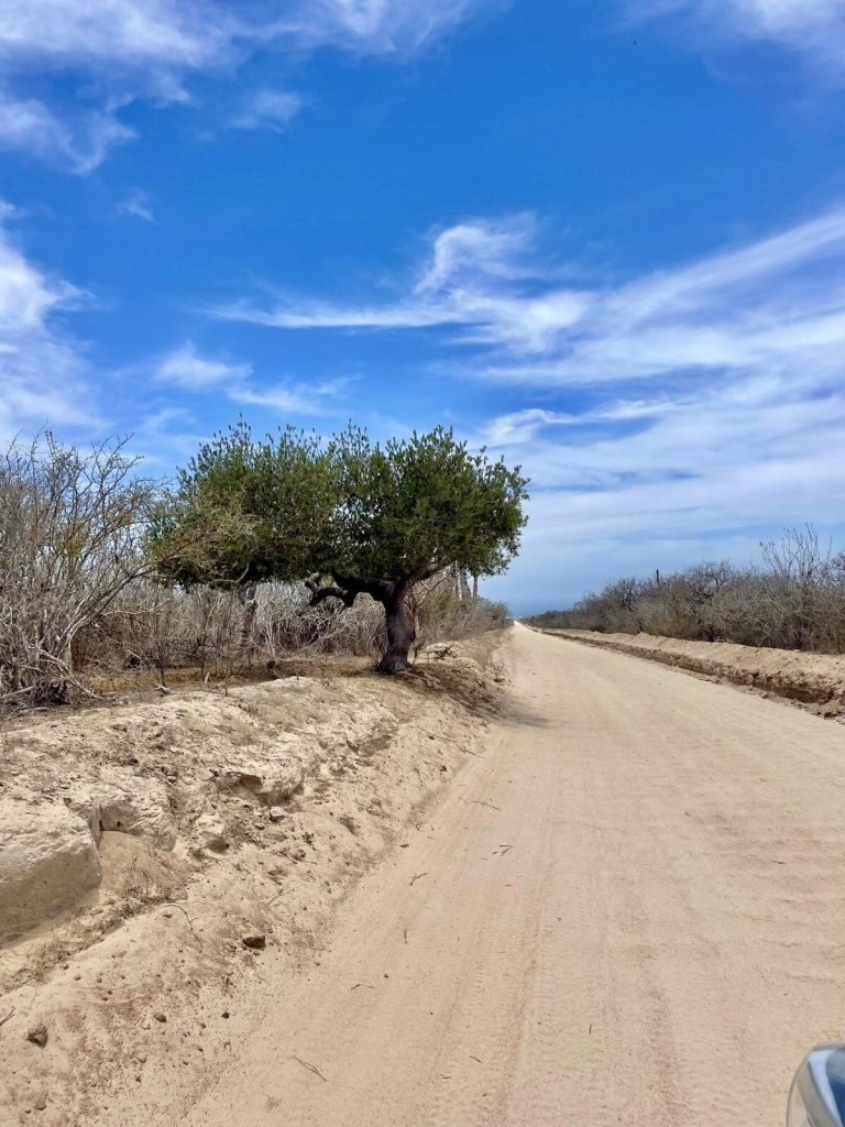 MATANCITAS WILDLANDS – photo 5