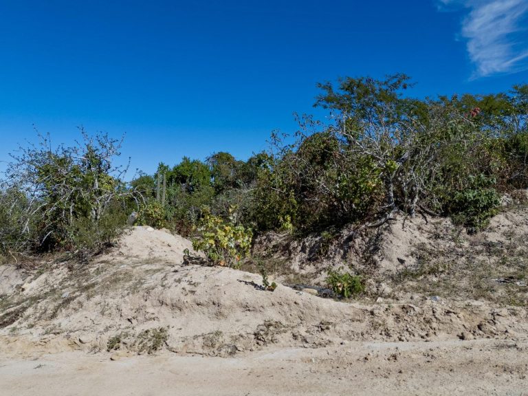 MATANCITAS WILDLANDS – photo 4