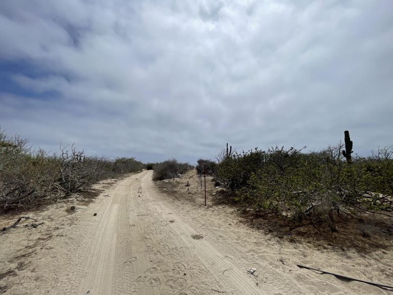 Ocean Front Land – photo 4