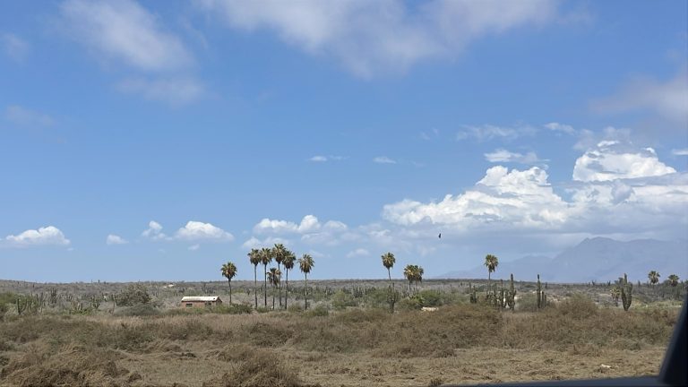 Ocean Front Land – photo 5