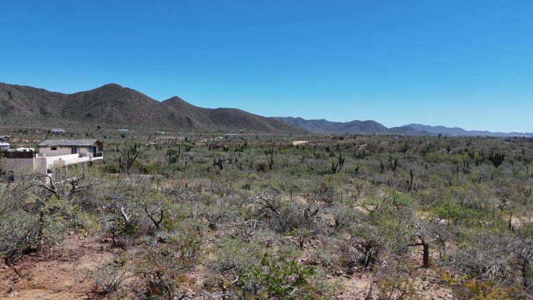 Ocean & Summit Reserve – photo 3