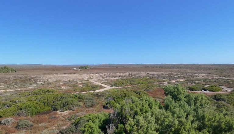 Oceanfront Beach Reserve, – photo 5