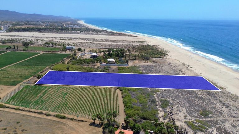 Oceanfront Paradise – photo 4