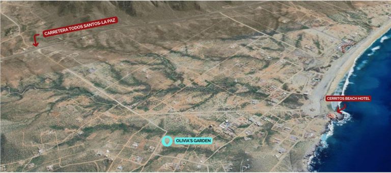 OLIVIA'S GARDEN – Land for sale in Cerritos