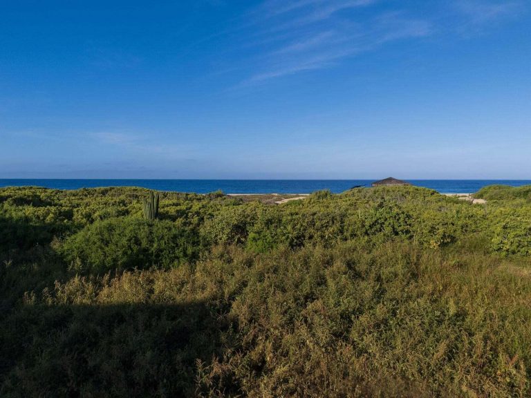Pacific Beachfront – photo 4