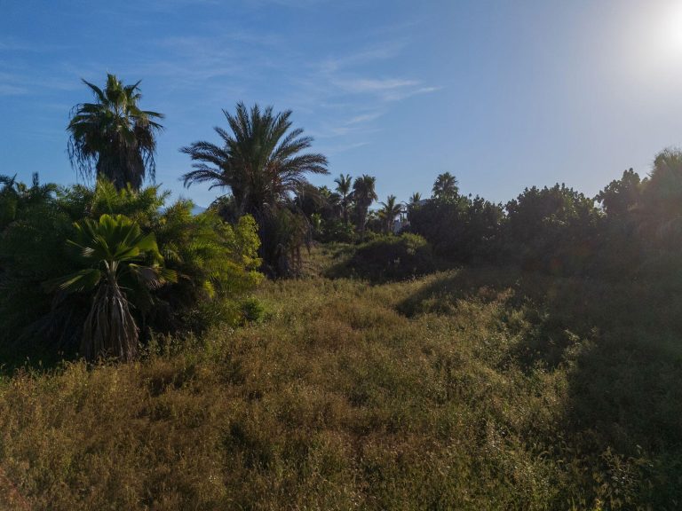 Pacific Beachfront – photo 5