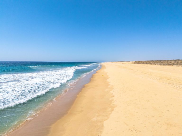 Pacific Grand Reserve – photo 3
