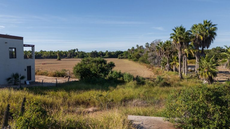 Palma Paraiso Lot – photo 3