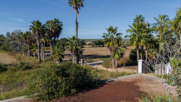 Palma Paraiso Lot – photo 4