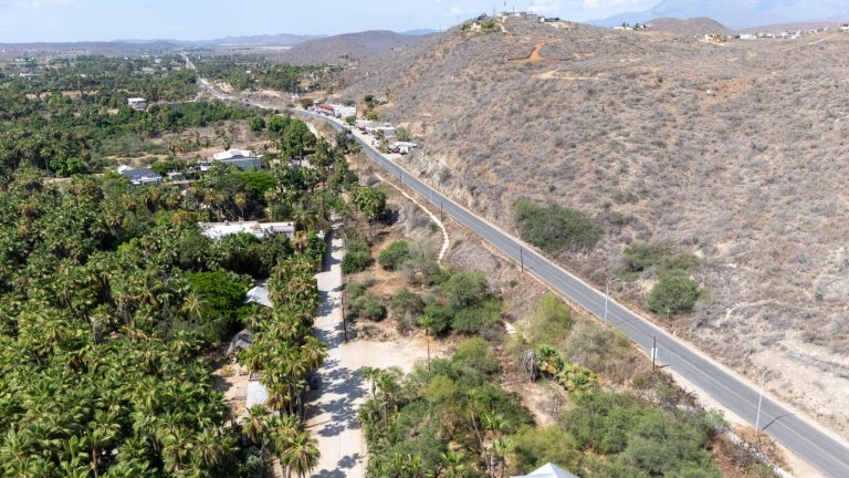 Palmeras Todos Santos – photo 3
