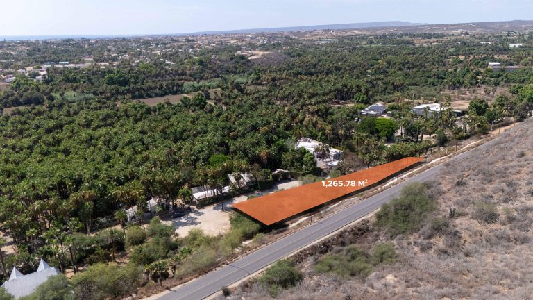 Palmeras Todos Santos – Land for sale in Centro-Todos Santos, Todos Santos