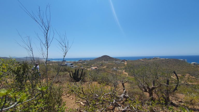 Panoramic View Parcel – photo 4
