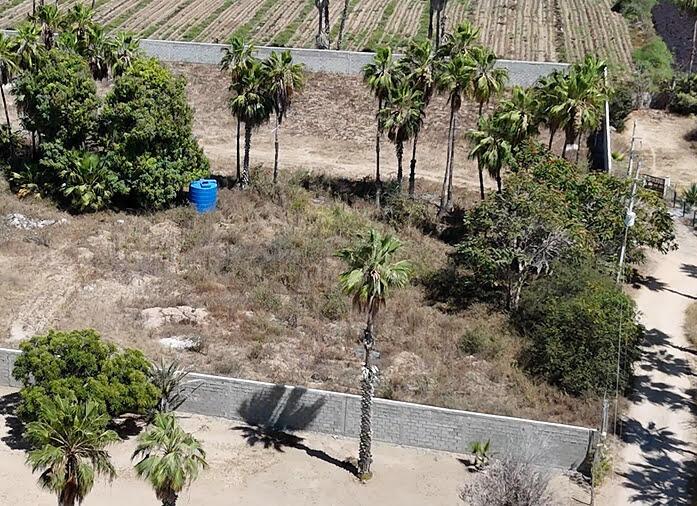 Parcela 292 – Land for sale in San Sebastian, Todos Santos