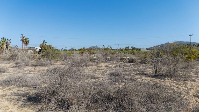 Paseo Hierbabuena – photo 4