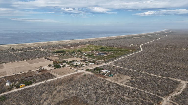 Peaceful Las Playitas - CFE – Land for sale in Las Playitas, Todos Santos North (Las Playitas / Agua Blanca)