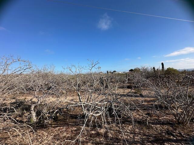 Peaceful Las Playitas - CFE – photo 4