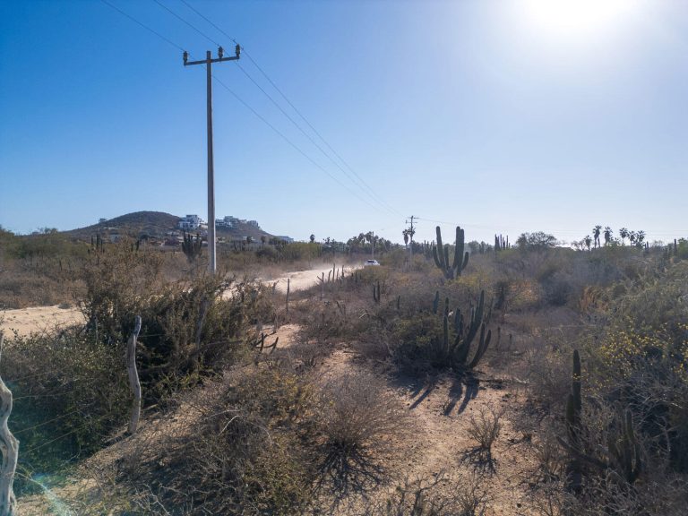 Pescadero Cactus Dream Lot – photo 4