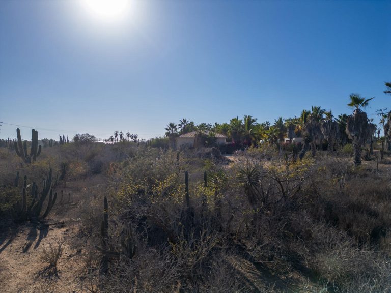 Pescadero Cactus Dream Lot – photo 3