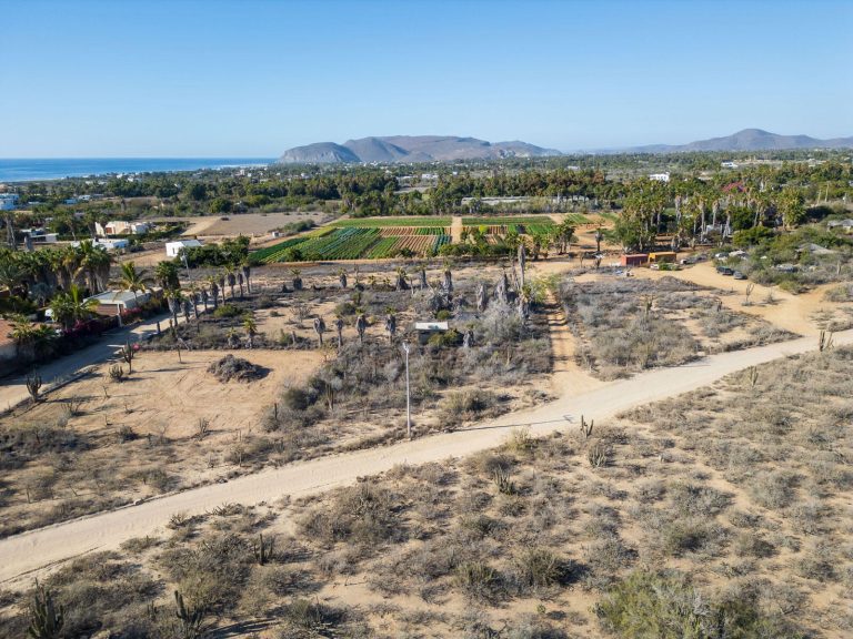 Pescadero Cactus Dream Lot – photo 5