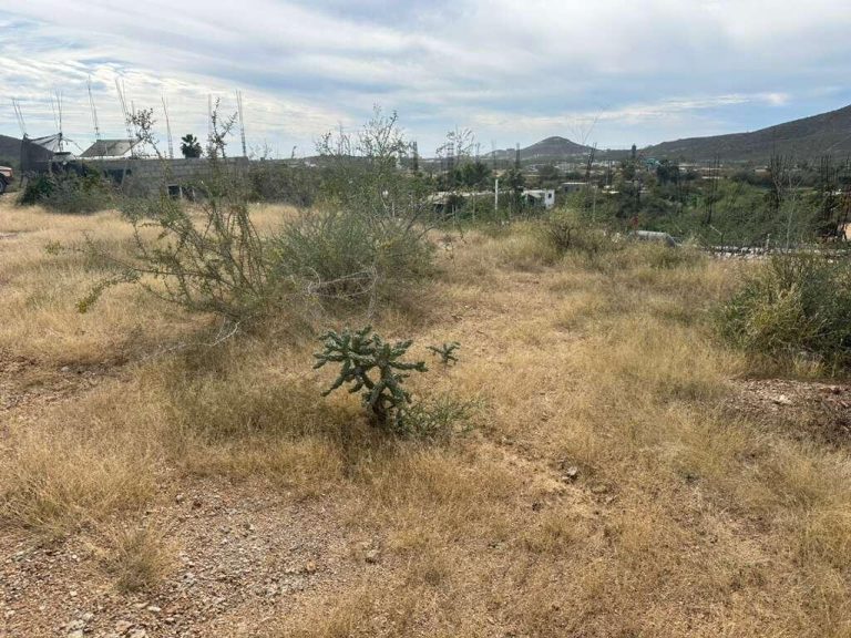 Pescadero Lot 01 Fideicomiso – photo 3