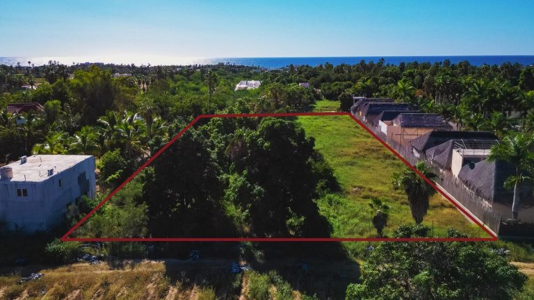 Pescadero Mango Orchard – Land for sale in Pescadero, El Pescadero