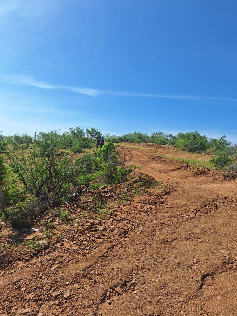 PETERS HILLS – photo 5