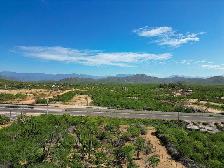 Prime Cerritos Highway Lot # 1 – photo 5