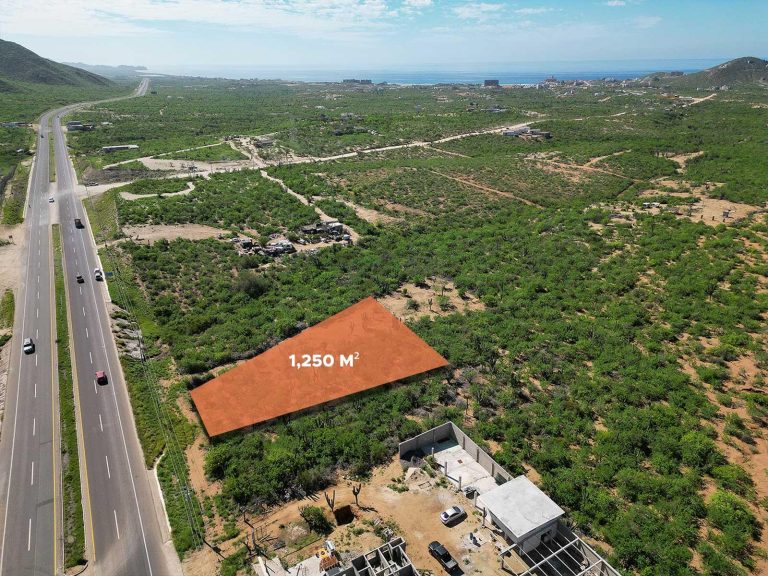 Prime Cerritos Highway Lot # 1 – photo 3