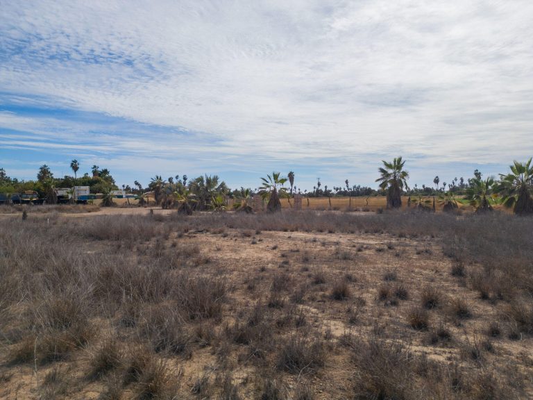 Prime Pescadero Road Front 473 – photo 4