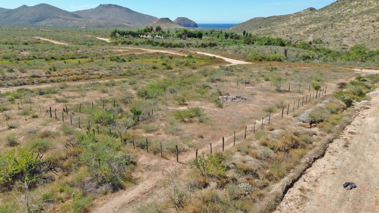 Punta Lobos Lot 1 – photo 2