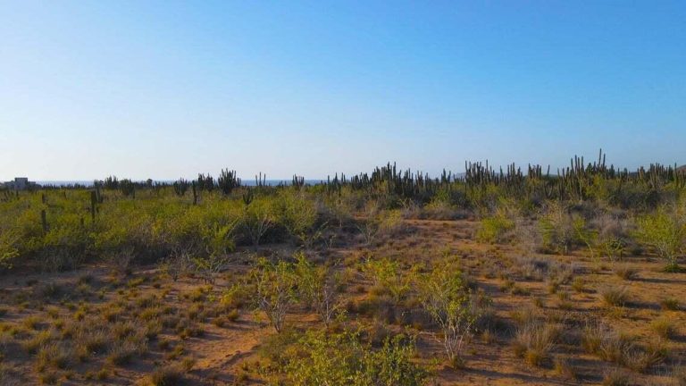 Rancho Nuevo LOT 4 Block 7 – photo 3