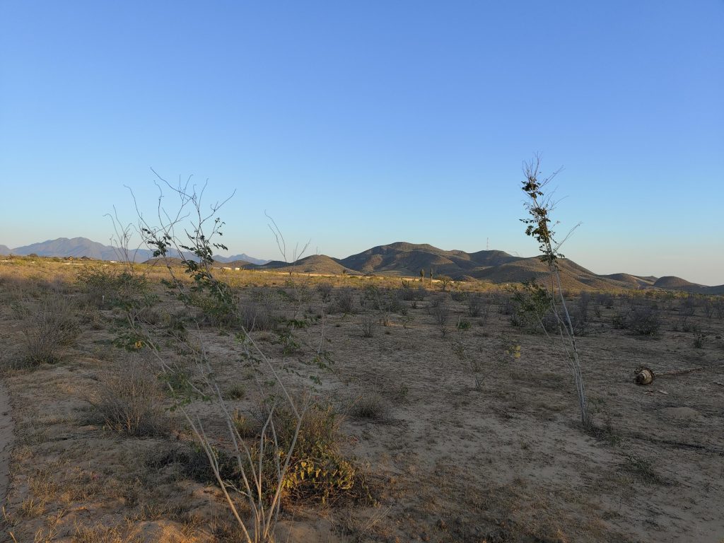 RANCHO NUEVO LOTE 9 MANZANA 1 – photo 1