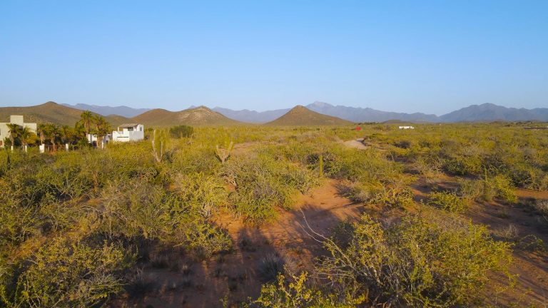 Rancho nuevo – Land for sale in Rancho Nuevo, El Pescadero