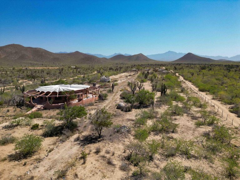 Rancho Patron – photo 3