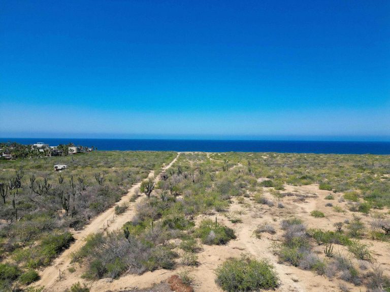 Rancho Patron – photo 4