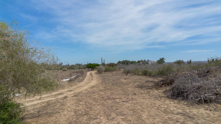 Rancho Santa Cruz Lot 0509 – photo 3