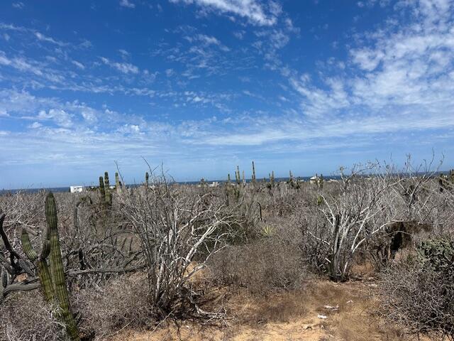 Salitral Lote A – Land for sale in Cerritos/Pesca-Genrl, Cerritos
