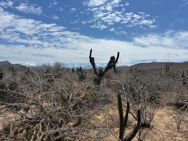 Salitral Lote B – Land for sale in Cerritos/Pesca-Genrl, Cerritos
