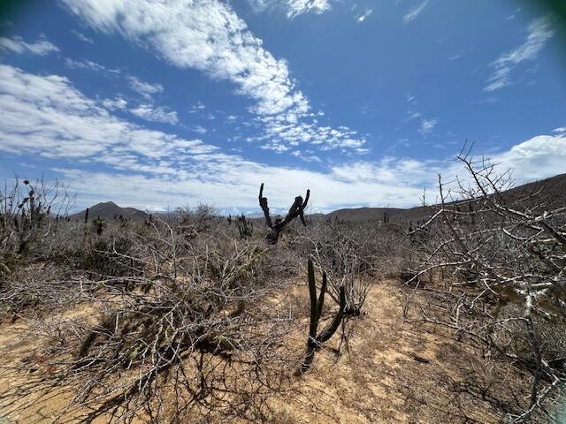Salitral Lote C – photo 4