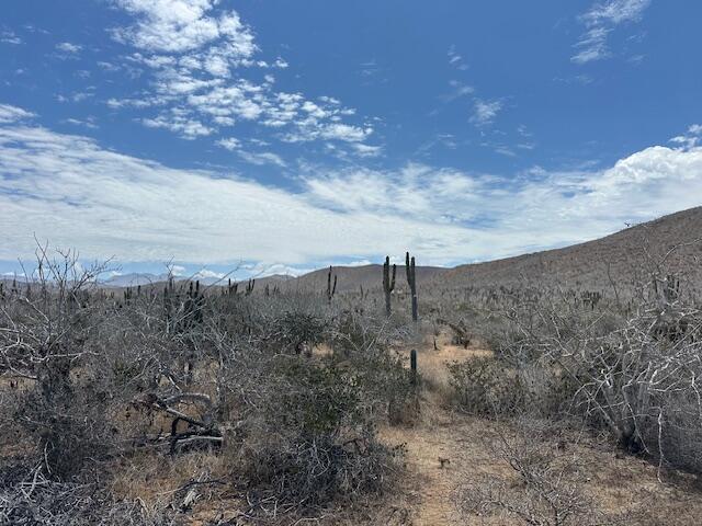 Salitral Lote C – Land for sale in Cerritos/Pesca-Genrl, Cerritos