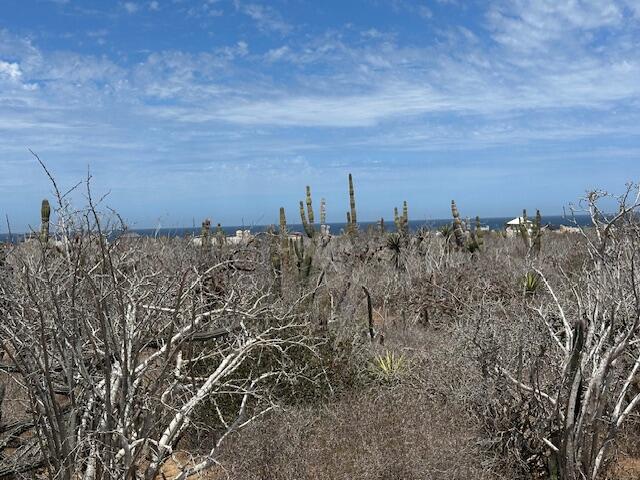 Salitral Lote C – photo 2